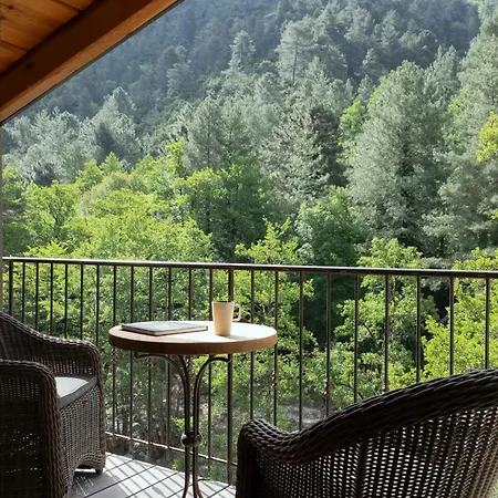 Dominique Colonna 4*