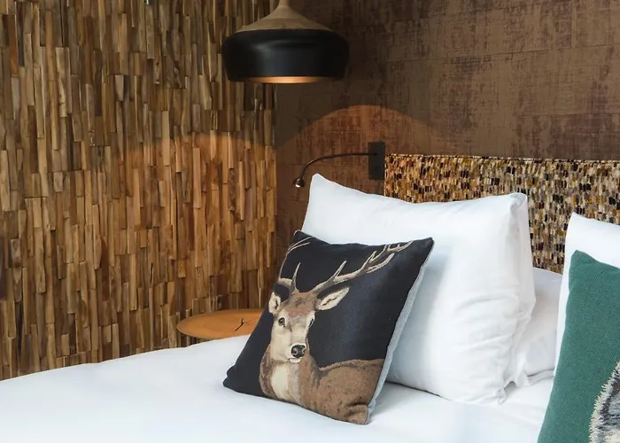 Hotel Dominique Colonna