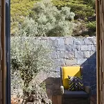 Dominique Colonna קורטה