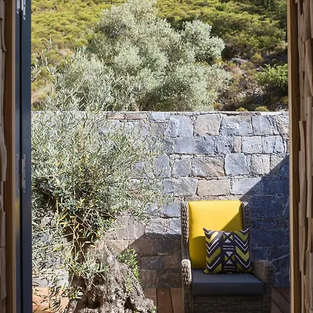 Dominique Colonna Corte (Corsica)