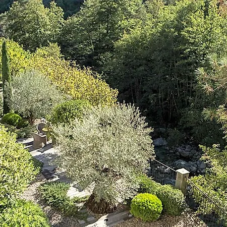 Dominique Colonna Corte (Corsica)