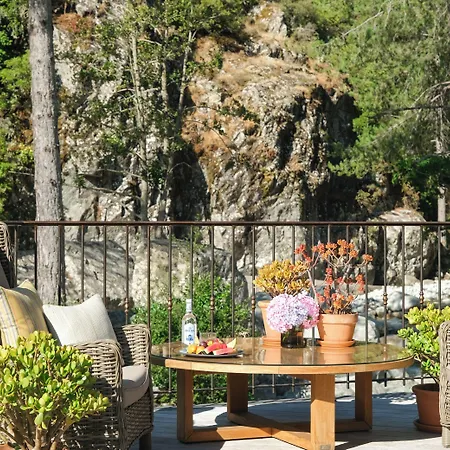 Dominique Colonna Corte (Corsica)