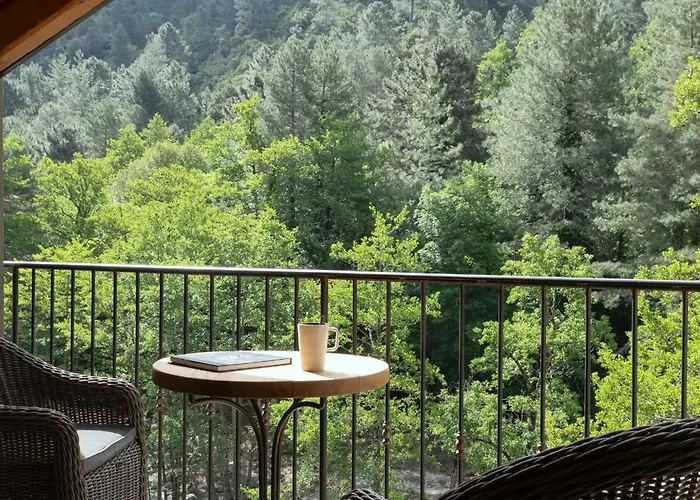 Dominique Colonna 4*