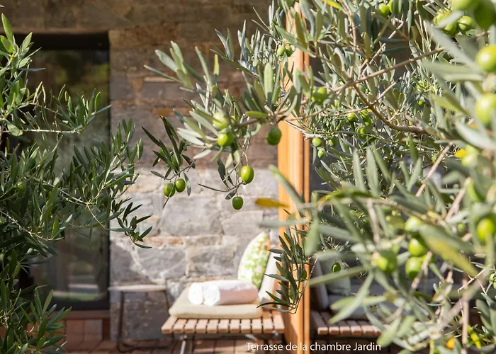 Dominique Colonna Hotel Corte (Corsica)